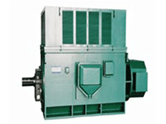 Y5002-6YR高压三相异步电机