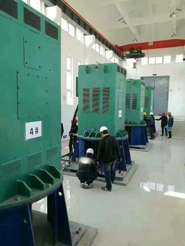 Y5002-6某污水处理厂使用我厂的立式高压电机安装现场报价