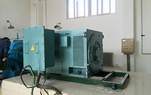Y5002-6某水电站工程主水泵使用我公司高压电机