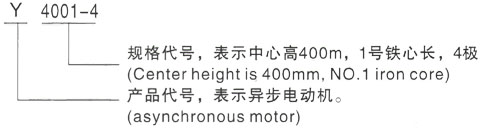 西安泰富西玛Y系列(H355-1000)高压Y5002-6三相异步电机型号说明