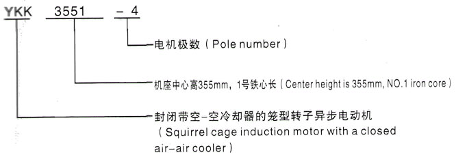 YKK系列(H355-1000)高压Y5002-6三相异步电机西安泰富西玛电机型号说明