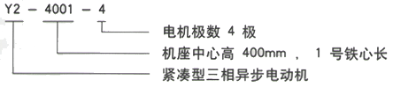 YR系列(H355-1000)高压Y5002-6三相异步电机西安西玛电机型号说明